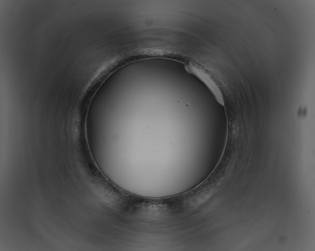 X0000089910304200707131355