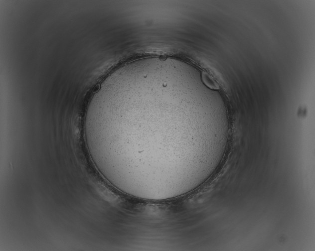 X0000089910305200707131355
