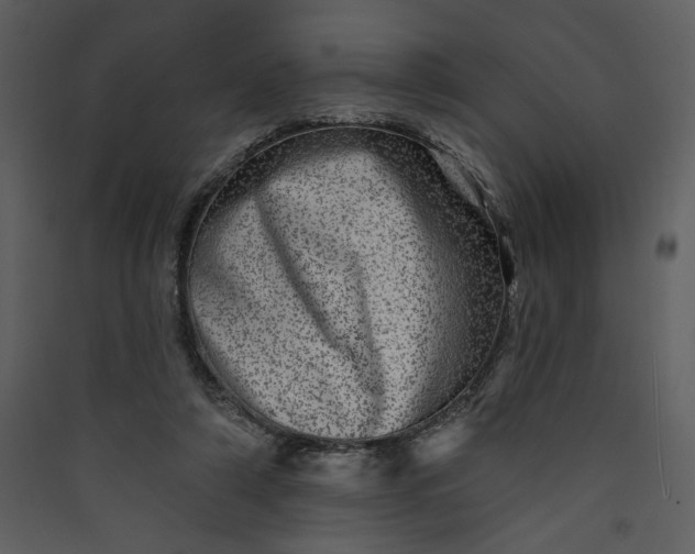 X0000089910306200707131355