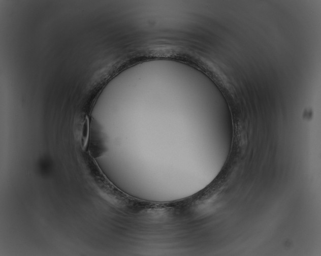 X0000089910307200707131354
