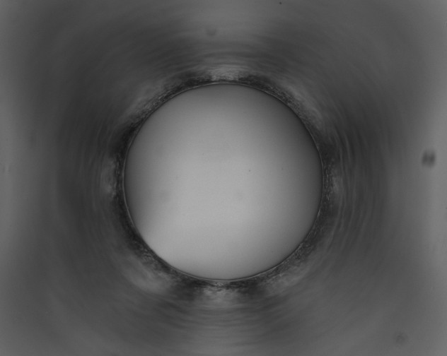 X0000089910311200707131354