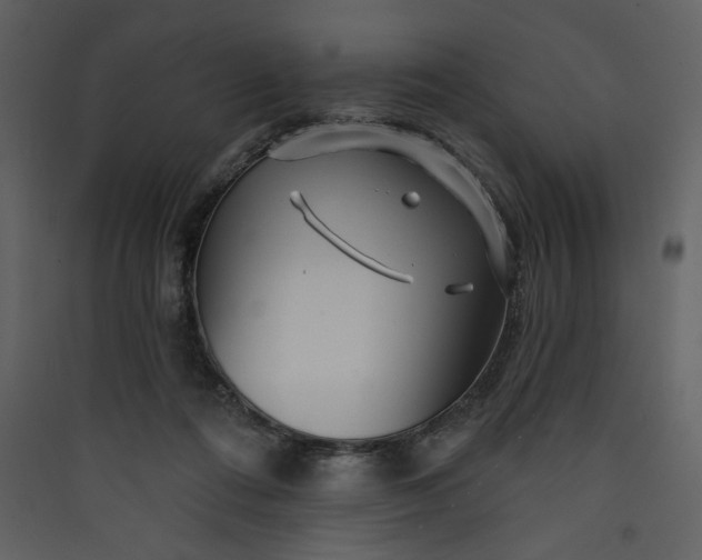 X0000089910312200707131354