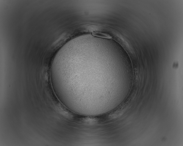 X0000089910313200707131354