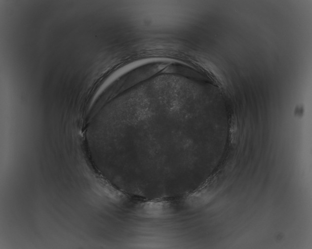X0000089910314200707131354