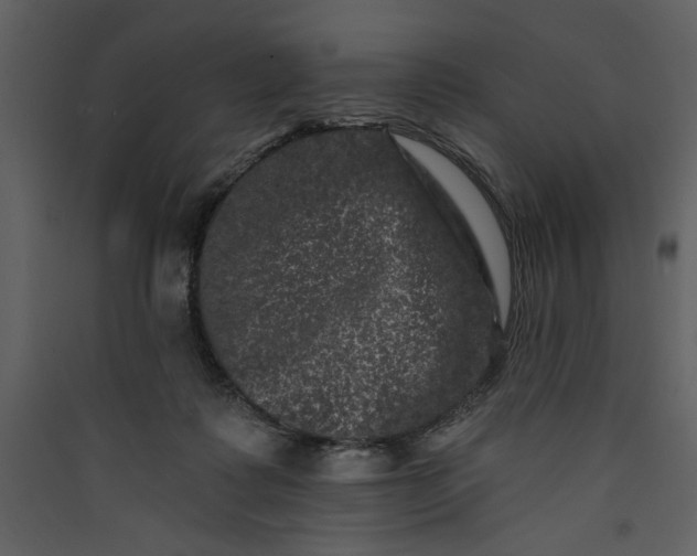 X0000089910315200707131354
