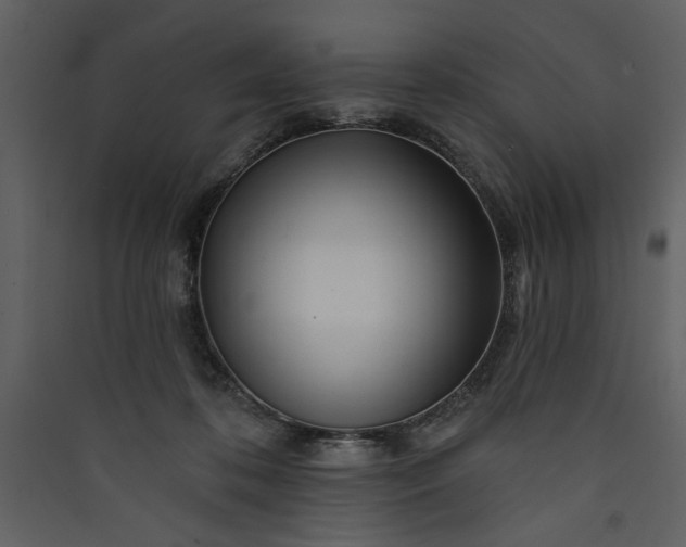 X0000089910316200707131354