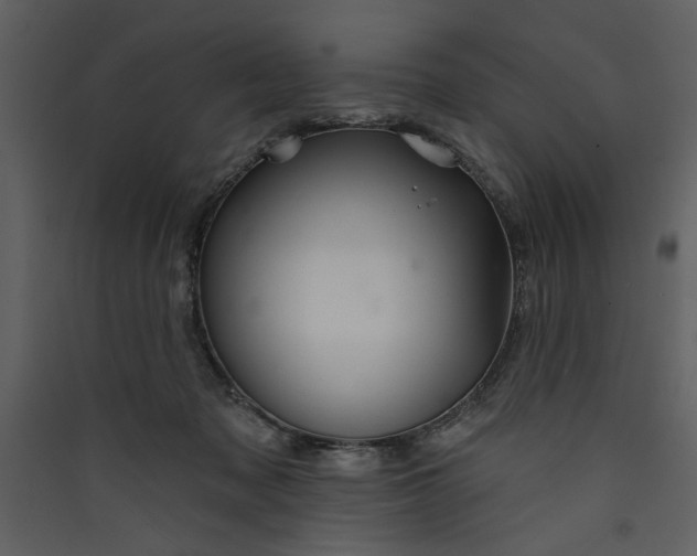 X0000089910317200707131354