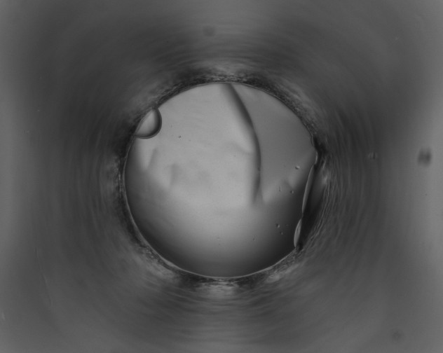 X0000089910318200707131354