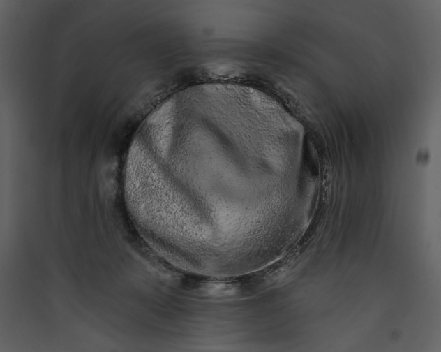 X0000089910319200707131354