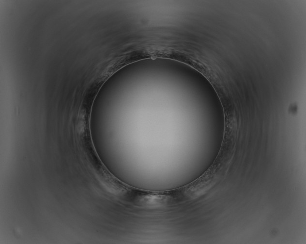 X0000089910323200707131354