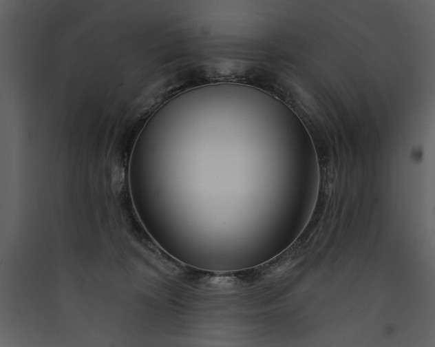 X0000089910324200707131354