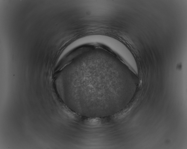 X0000089910325200707131354