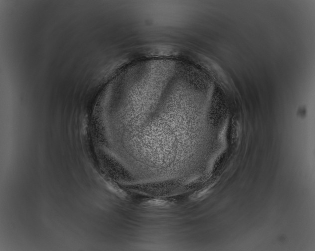 X0000089910326200707131354