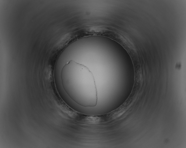 X0000089910328200707131354