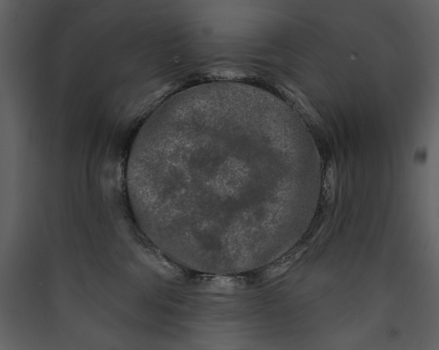 X0000089910330200707131354