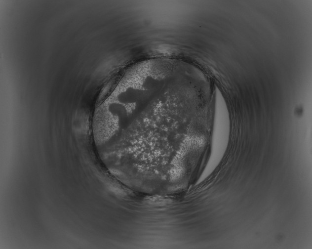 X0000089910331200707131354