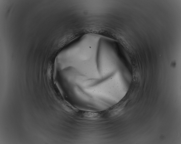 X0000089910334200707131354