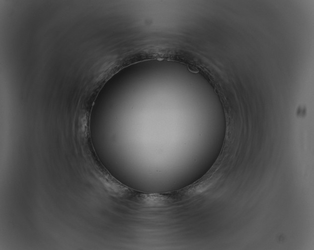 X0000089910336200707131354