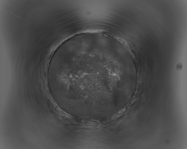 X0000089910337200707131354