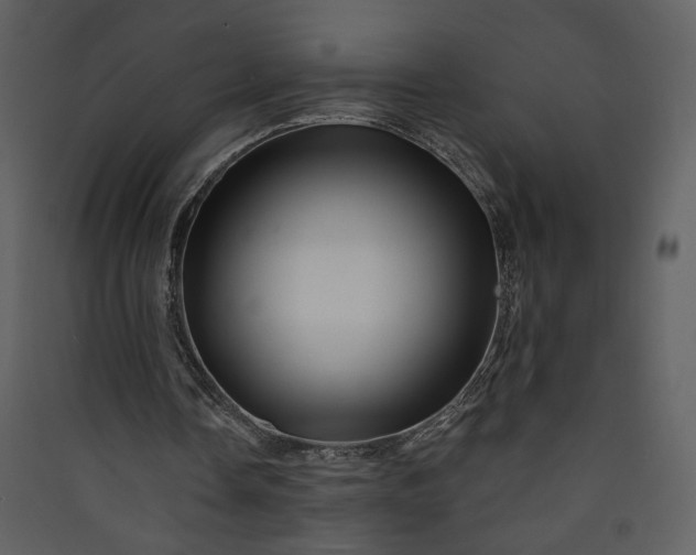 X0000089910338200707131354