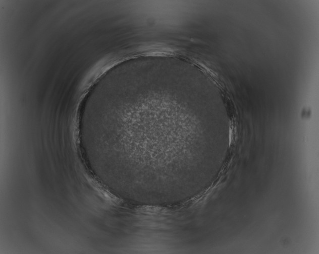X0000089910339200707131354