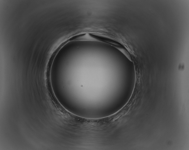 X0000089910340200707131354