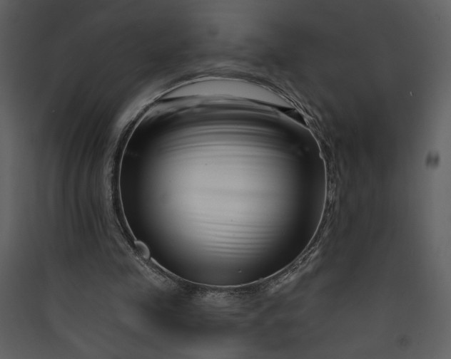 X0000089910341200707131354