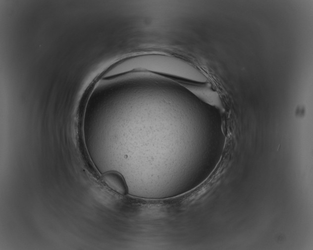 X0000089910342200707131354