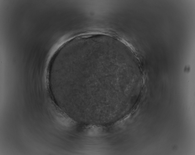 X0000089910343200707131354