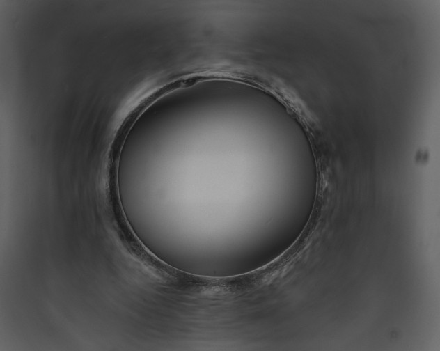 X0000089910344200707131354