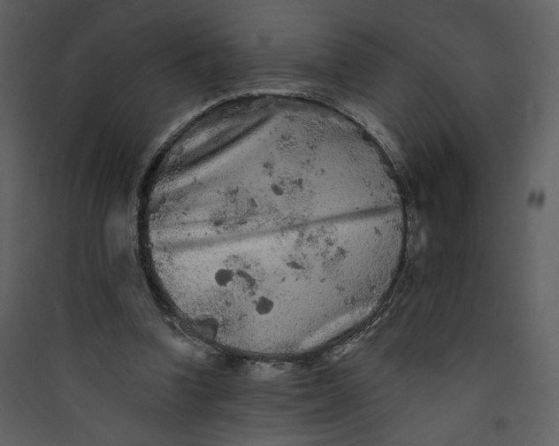 X0000089910346200707131354