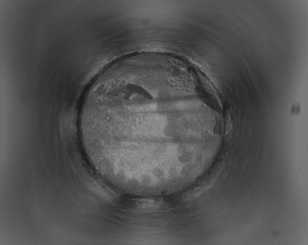 X0000089910347200707131354