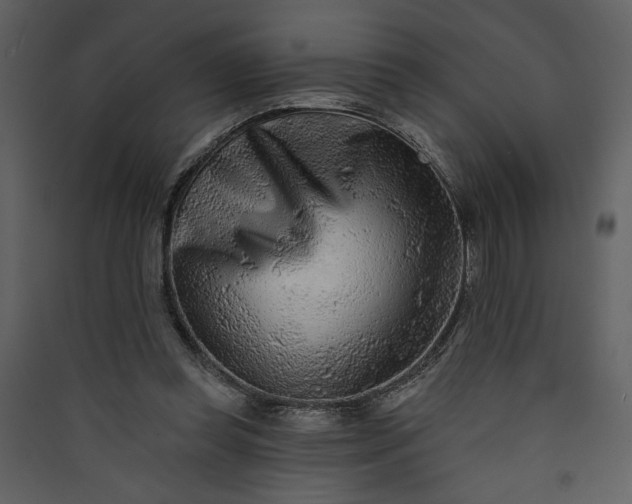 X0000089910349200707131354