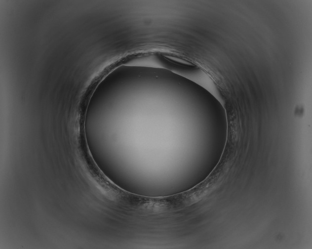X0000089910350200707131354