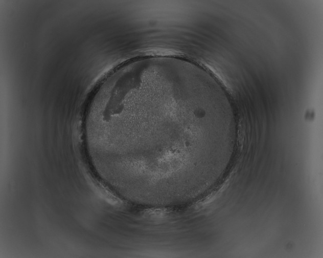 X0000089910351200707131354