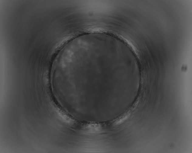X0000089910353200707131354