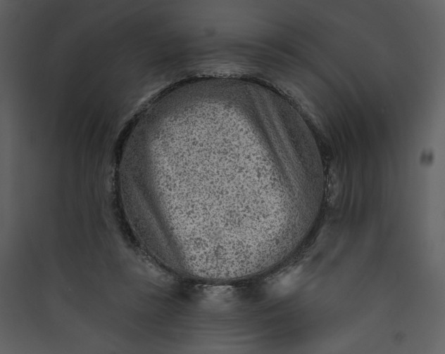 X0000089910355200707131354