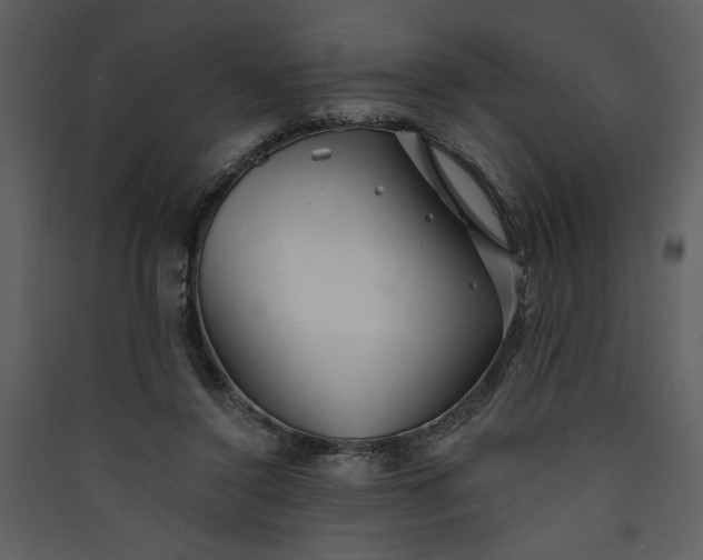 X0000089910356200707131354