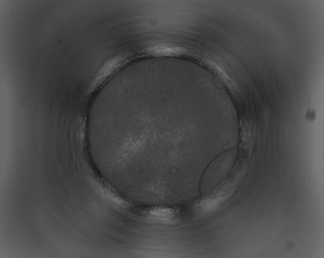 X0000089910357200707131354