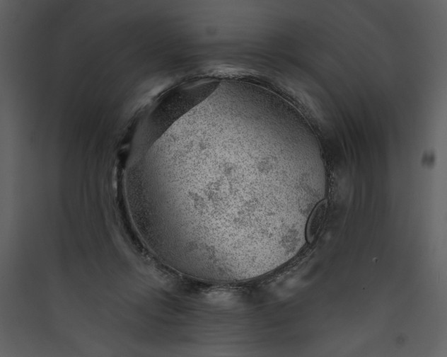 X0000089910358200707131354