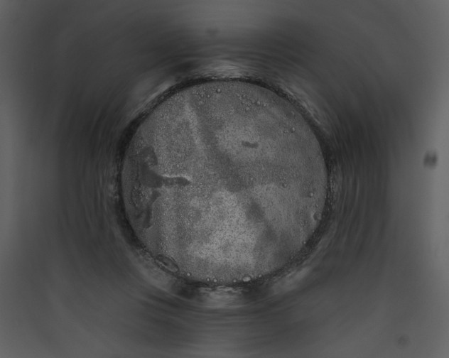 X0000089910359200707131354