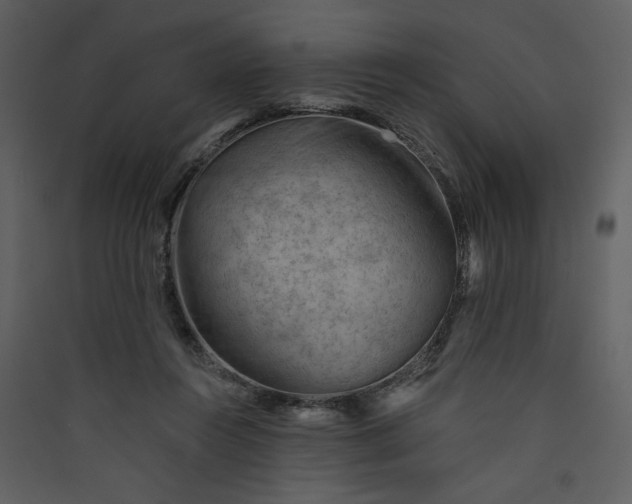X0000089910360200707131354