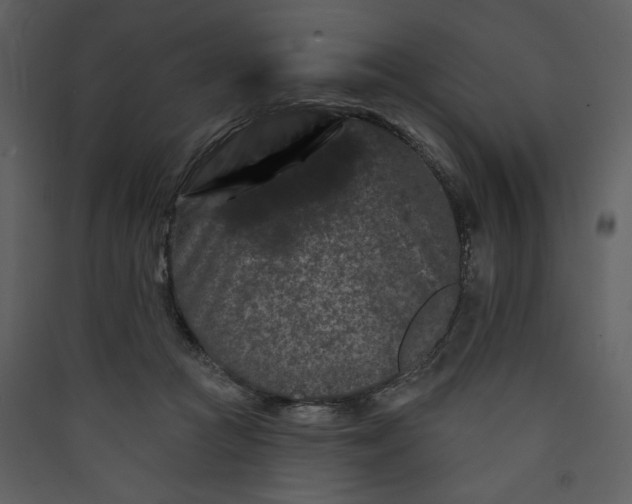X0000089910361200707131354