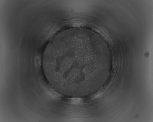 X0000089910363200707131354