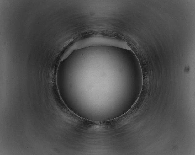 X0000089910364200707131354