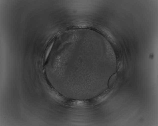 X0000089910365200707131354