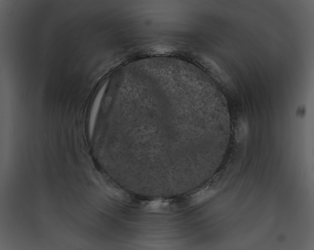 X0000089910366200707131354