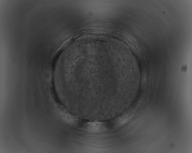 X0000089910367200707131354