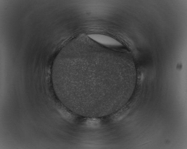 X0000089910369200707131354