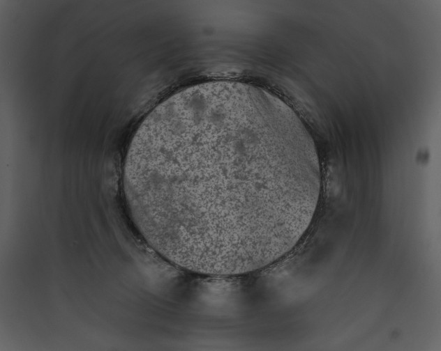 X0000089910370200707131354